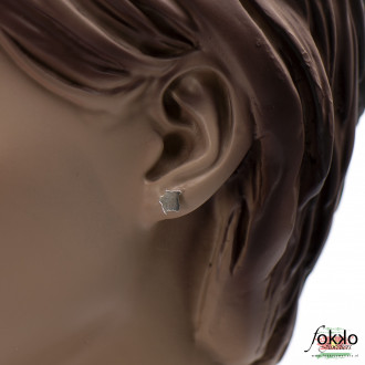 Surinaamse oorbellen | Surinaamse landkaart | Surinaamse sieraden 2