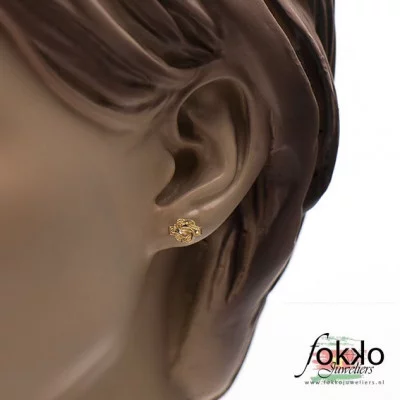 Sranang goud | Gouden Surinaamse oorbellen | Su goud